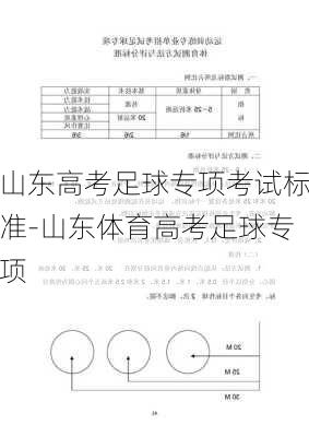 山东高考足球专项考试标准-山东体育高考足球专项