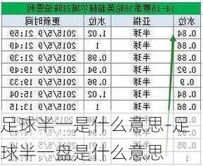 足球半一是什么意思-足球半一盘是什么意思