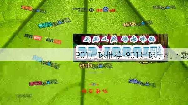 901足球推荐-901足球手机下载