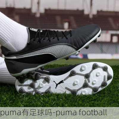 puma有足球吗-puma football