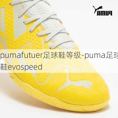 pumafutuer足球鞋等级-puma足球鞋evospeed