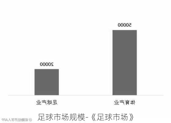 足球市场规模-《足球市场》