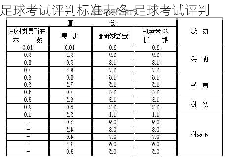 足球考试评判标准表格-足球考试评判