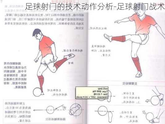 足球射门的技术动作分析-足球射门战术