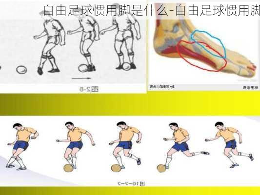 自由足球惯用脚是什么-自由足球惯用脚