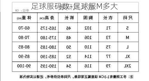 足球服码数-足球服M多大