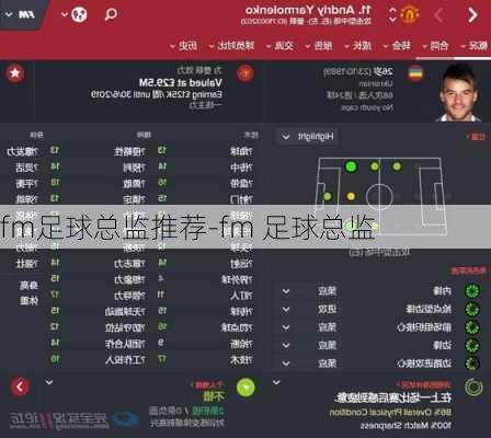 fm足球总监推荐-fm 足球总监