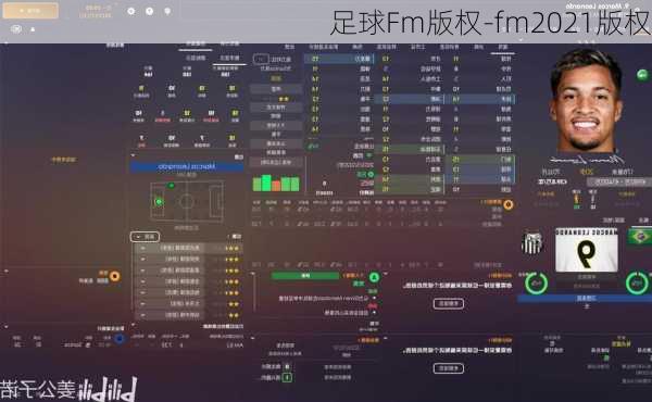 足球Fm版权-fm2021版权