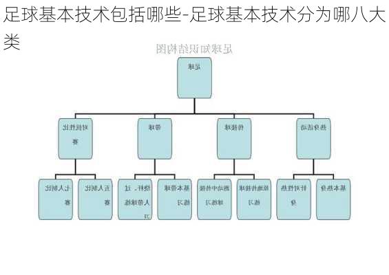 足球基本技术包括哪些-足球基本技术分为哪八大类