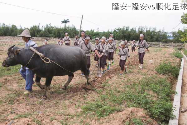 隆安-隆安vs顺化足球