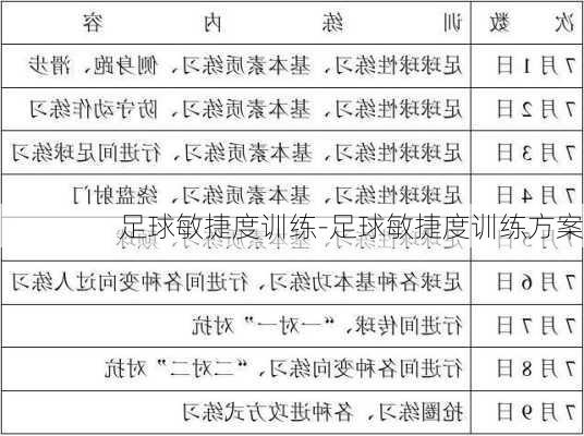 足球敏捷度训练-足球敏捷度训练方案