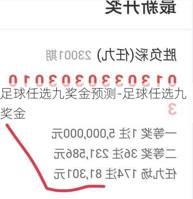 足球任选九奖金预测-足球任选九奖金