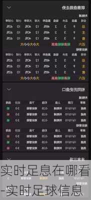 实时足息在哪看-实时足球信息