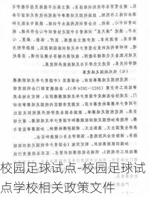 校园足球试点-校园足球试点学校相关政策文件