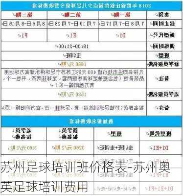 苏州足球培训班价格表-苏州奥英足球培训费用