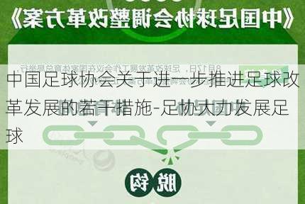 中国足球协会关于进一步推进足球改革发展的若干措施-足协大力发展足球