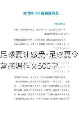 足球夏训感受-足球夏令营感想作文500字