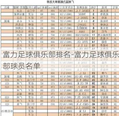 富力足球俱乐部排名-富力足球俱乐部球员名单