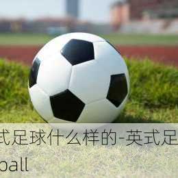 英式足球什么样的-英式足球 ball