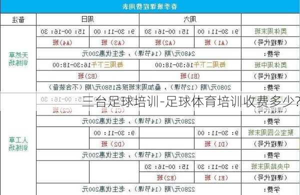 三台足球培训-足球体育培训收费多少?