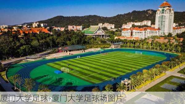 厦门大学足球-厦门大学足球场图片