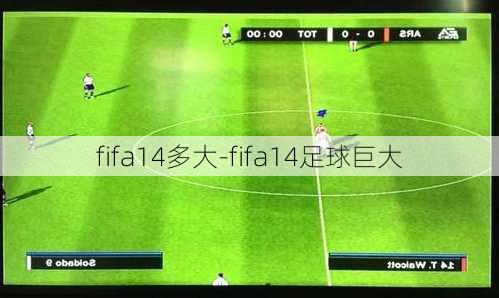 fifa14多大-fifa14足球巨大