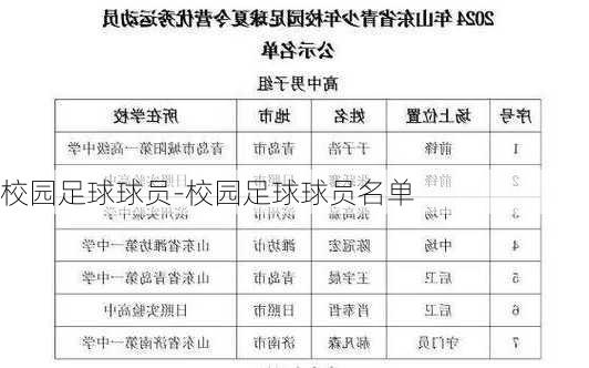 校园足球球员-校园足球球员名单