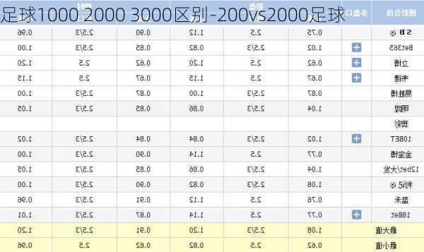 足球1000 2000 3000区别-200vs2000足球