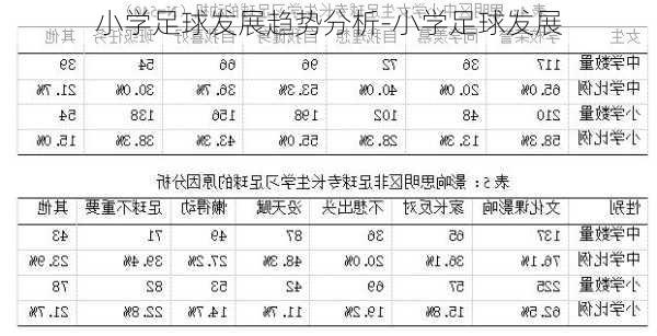 小学足球发展趋势分析-小学足球发展