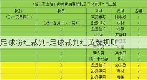 足球粉红裁判-足球裁判红黄牌规则