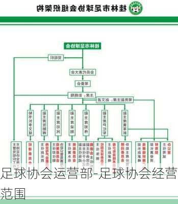 足球协会运营部-足球协会经营范围