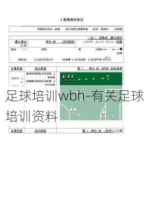 足球培训wbh-有关足球培训资料