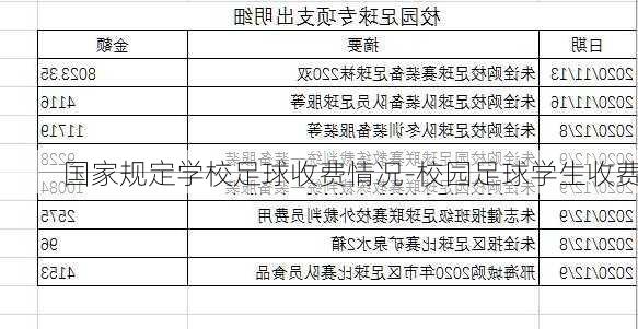 国家规定学校足球收费情况-校园足球学生收费