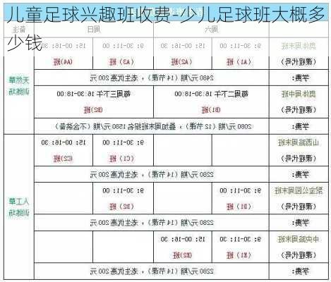 儿童足球兴趣班收费-少儿足球班大概多少钱