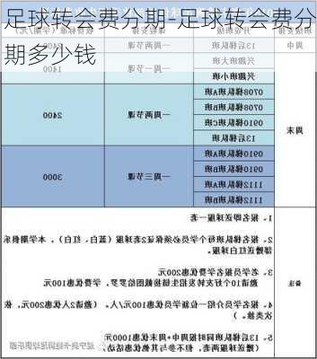 足球转会费分期-足球转会费分期多少钱