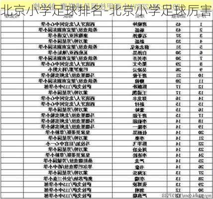 北京小学足球排名-北京小学足球厉害