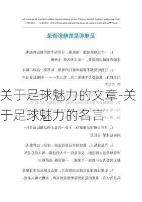 关于足球魅力的文章-关于足球魅力的名言