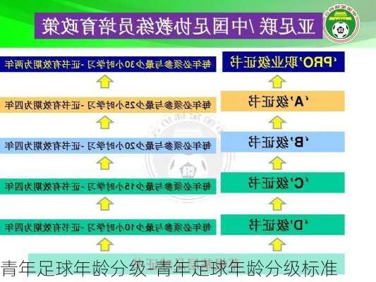 青年足球年龄分级-青年足球年龄分级标准