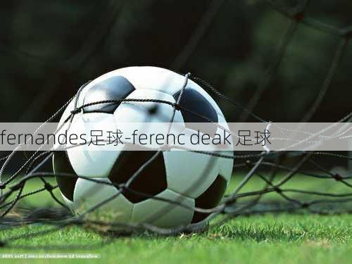 fernandes足球-ferenc deak 足球