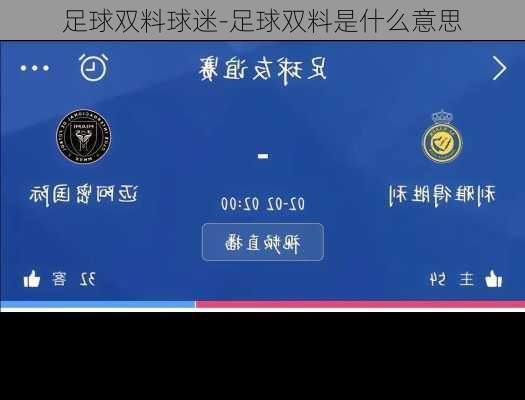 足球双料球迷-足球双料是什么意思