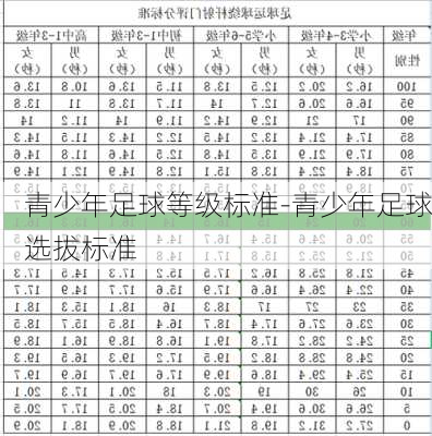 青少年足球等级标准-青少年足球选拔标准