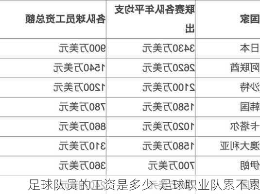 足球队员的工资是多少-足球职业队累不累