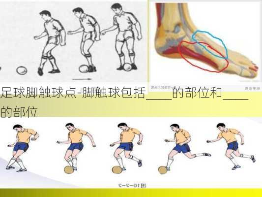 足球脚触球点-脚触球包括____的部位和____的部位