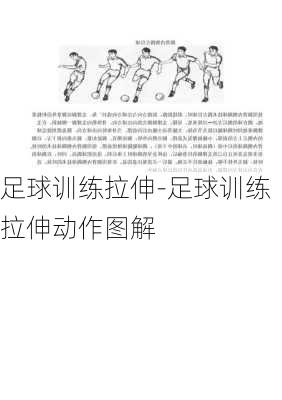 足球训练拉伸-足球训练拉伸动作图解