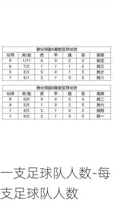 一支足球队人数-每支足球队人数