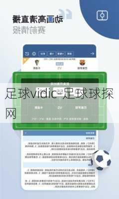 足球vidic-足球球探网