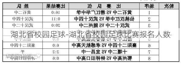 湖北省校园足球-湖北省校园足球比赛报名人数