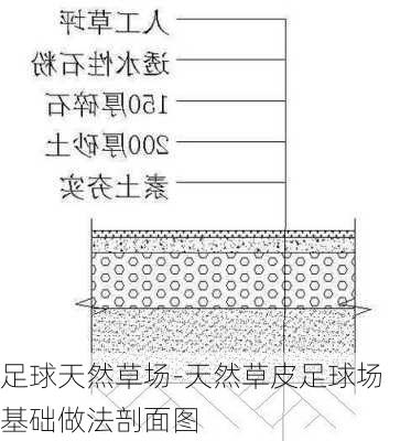 足球天然草场-天然草皮足球场基础做法剖面图