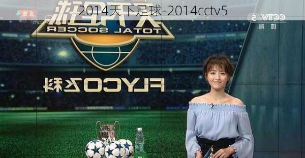 2014天下足球-2014cctv5