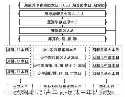 足球俱乐部青年队-足球青年队分级